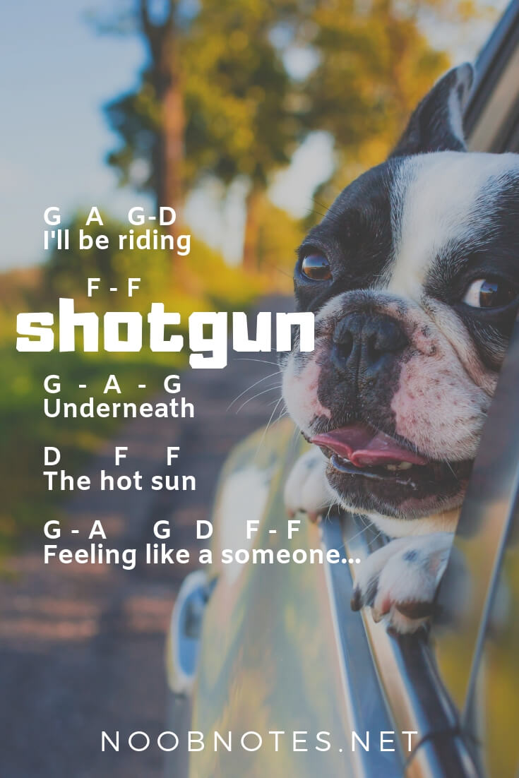 Shotgun Song Roblox Id