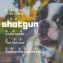 Shotgun - George Ezra